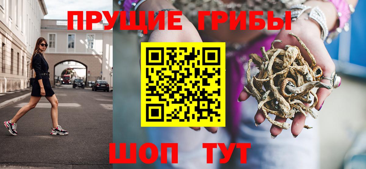 Тамбов  Псилоцибиновые грибы прущие грибы  Галлюциногенные грибы мухоморы  Вход с VPN 
